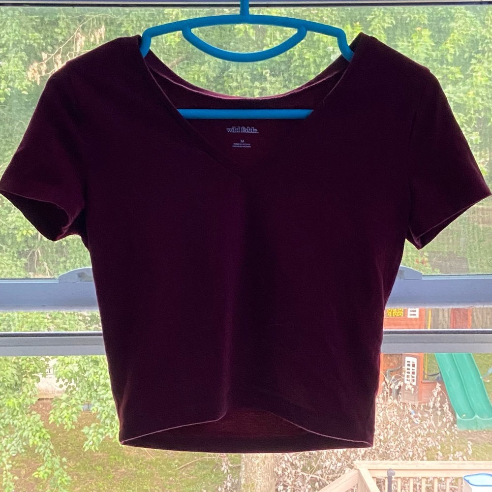 Target Wild fable Cropped Top